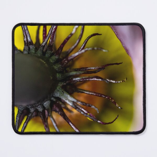 Item preview, Solomon's Lily designed and sold by PhotosByFelix.