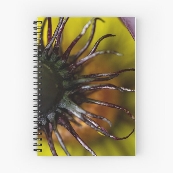 Item preview, Solomon's Lily designed and sold by PhotosByFelix.