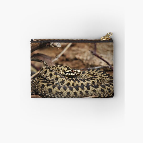 Item preview, Adder - Vipera berus designed and sold by Christian Moss.