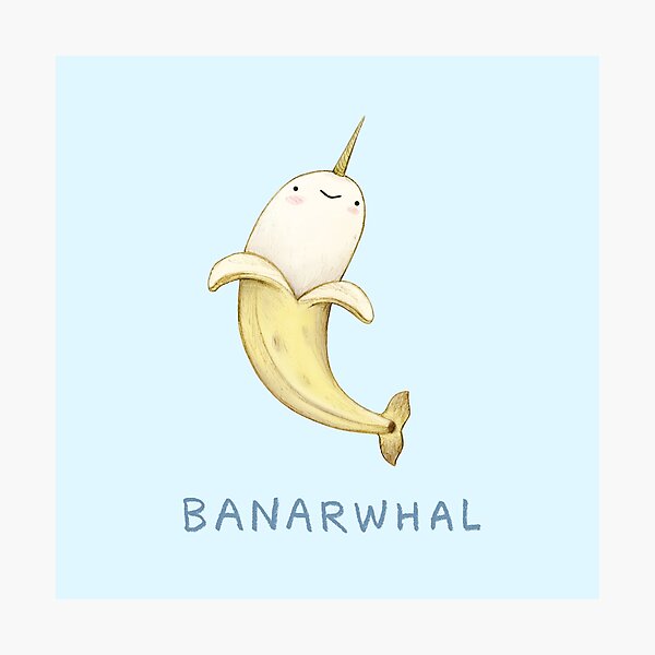 Banarwhal Photographic Print
