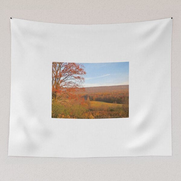 Item preview, November—Last Color designed and sold by Geopsych.
