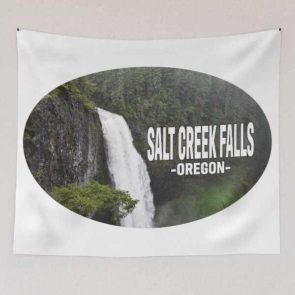 Artikelvorschau, Salt Creek Falls, Oregon entworfen und verkauft von stermitkermit.