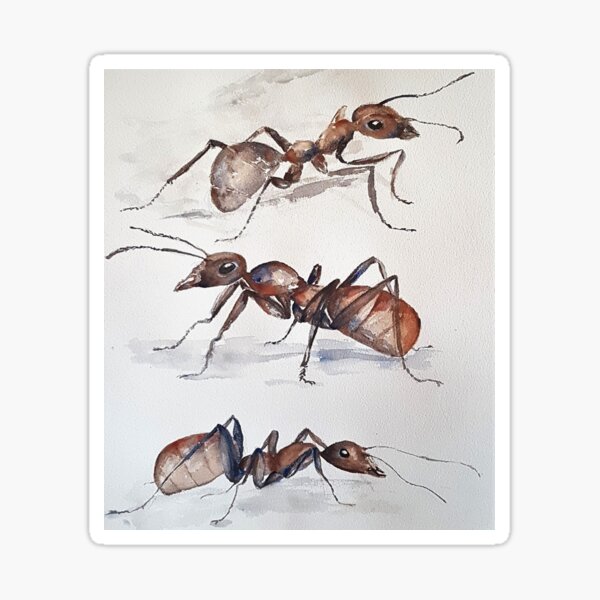 The ant colony in watercolour ants, insects, bugs, Sticker