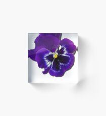 Pansy Purple Flower Beautiful Meditation Yoga Peace Garden Acrylic Block
