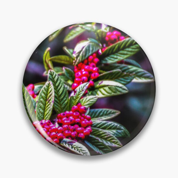 Item preview, Cotoneaster Rothschildianus designed and sold by indiafrankk.