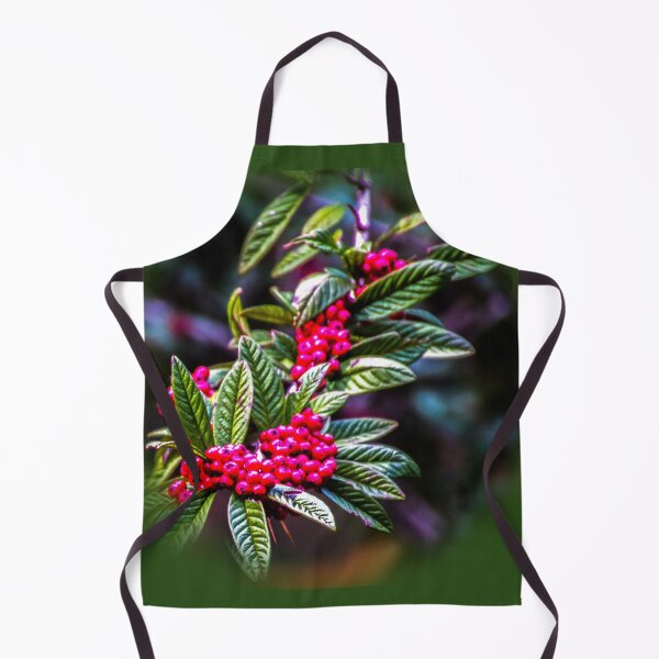 Item preview, Cotoneaster Rothschildianus designed and sold by indiafrankk.