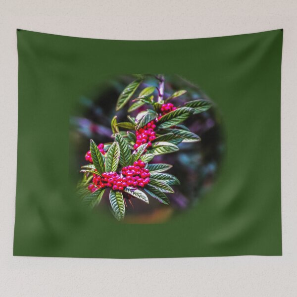 Item preview, Cotoneaster Rothschildianus designed and sold by indiafrankk.