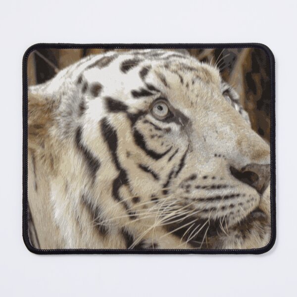 Item preview, White Tiger Hand Drawn Painting designed and sold by AnimalLover4eva.