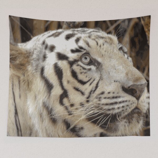 Item preview, White Tiger Hand Drawn Painting designed and sold by AnimalLover4eva.