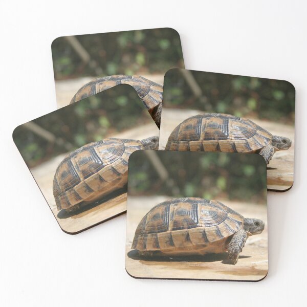 Item preview, Sideview of A Walking Turkish Tortoise Close Up designed and sold by taiche.