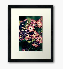 Blooms Framed Print