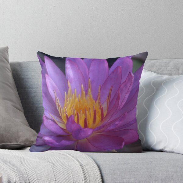 Item preview, Start of a Beautiful Morning designed and sold by Robert Armendariz.