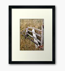 Orange Aid! Why? Framed Print