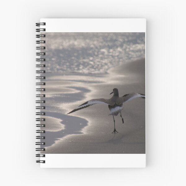 Item preview, Preflight designed and sold by Kirstyshots.