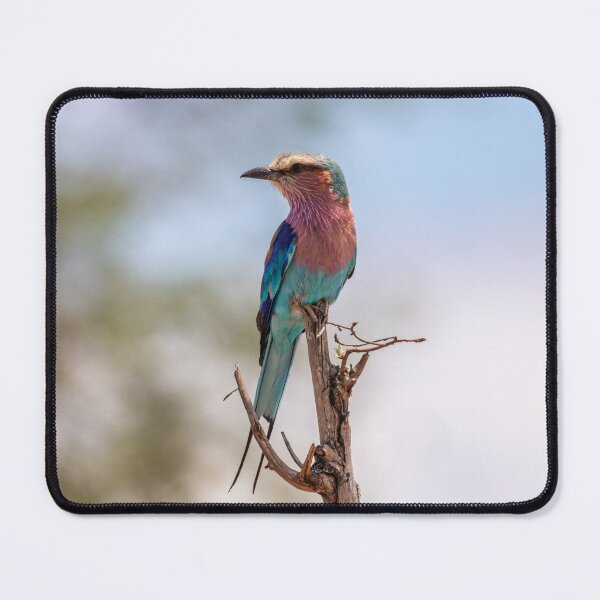 Item preview, Lilac-breasted Roller - Kruger National Park, South Africa designed and sold by holgermader.