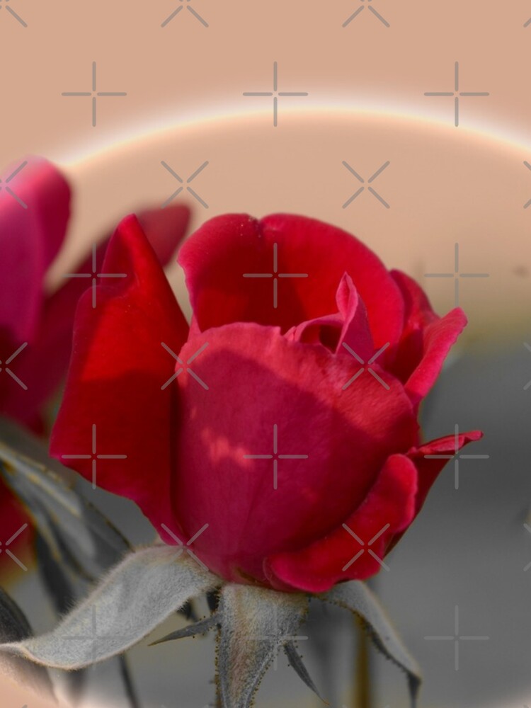 Thumbnail 4 of 4, iPhone Case, Beautiful Rounded Red Rose designed and sold by mubesher.