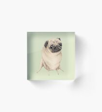 Sweet Fawn Pug Acrylic Block