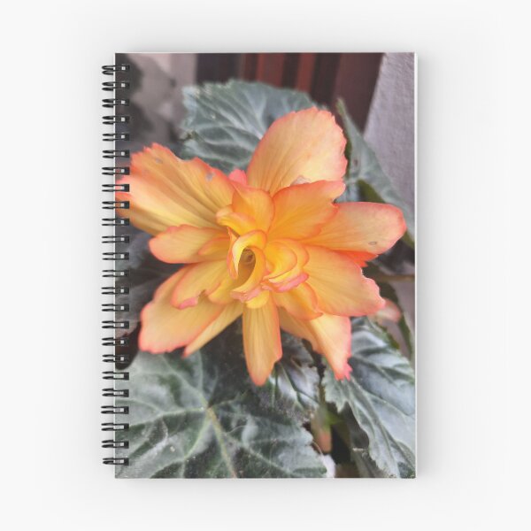 Item preview, ambiente de verano... designed and sold by barbich.