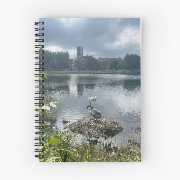 Item preview, Swan Family • Christianshavn • Norwegian Church • 2022 designed and sold by Mortinus.