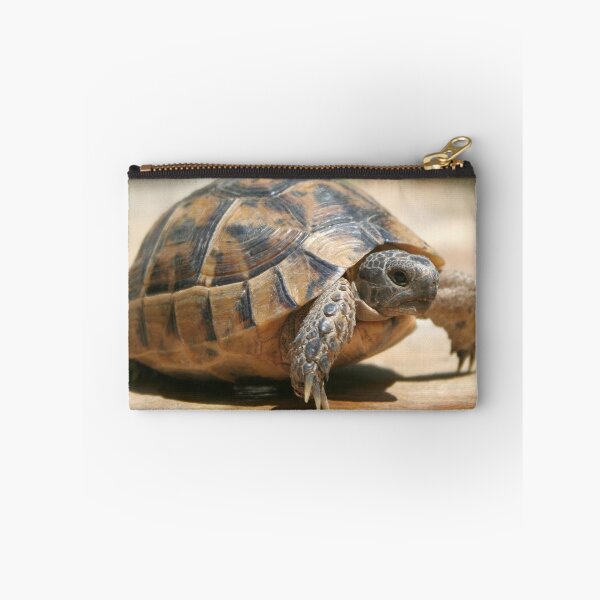 Item preview, Portrait of a Young Wild Tortoise Close Up designed and sold by taiche.