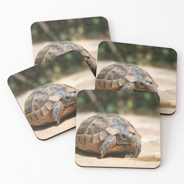 Item preview, Young Tortoise Emerging From Its Shell designed and sold by taiche.