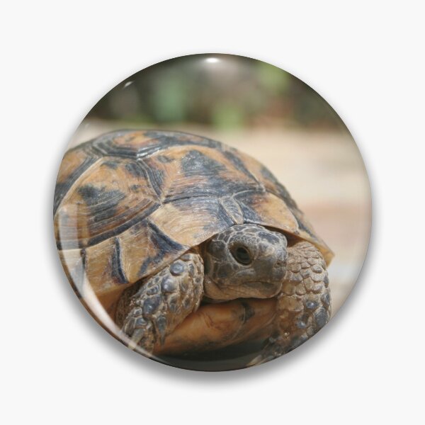 Item preview, Young Tortoise Emerging From Its Shell designed and sold by taiche.