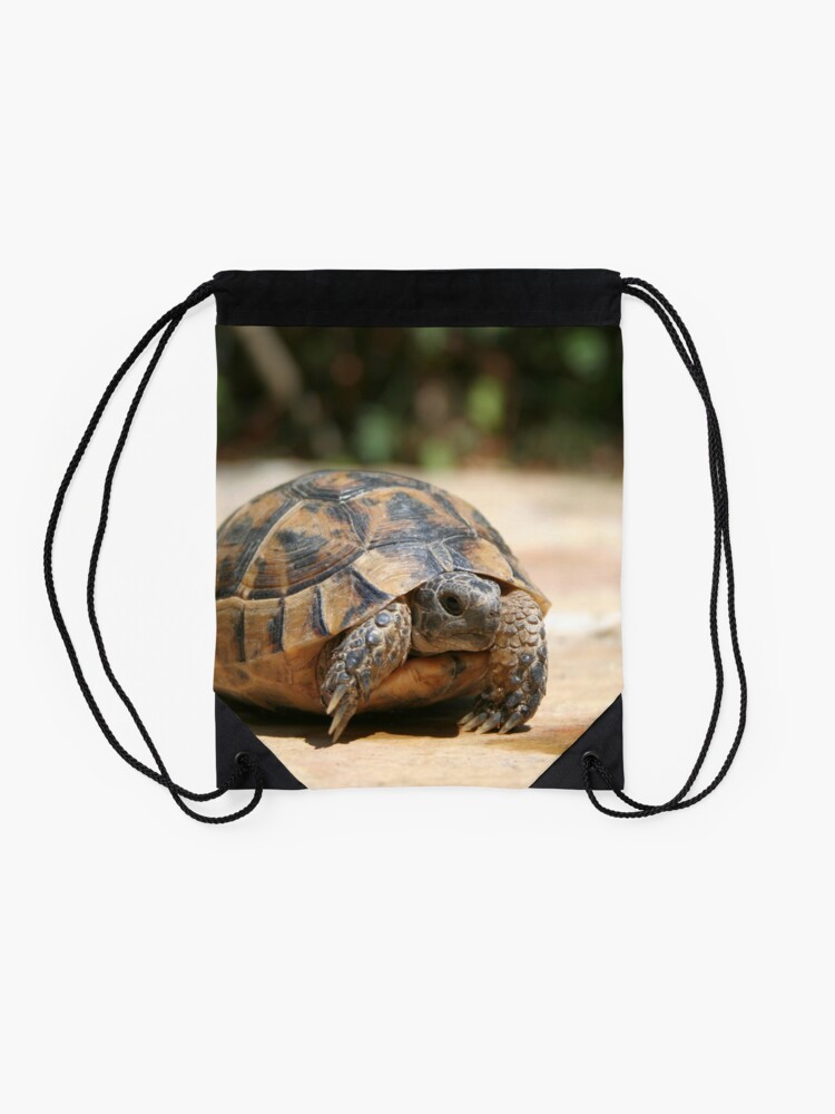 Sac discount carapace tortue