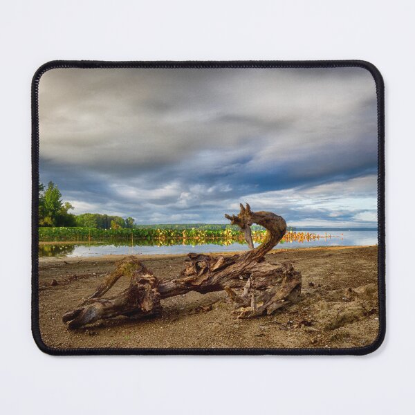 Item preview, Driftwood Dragon at Pymatuning Reservoir - Linesville, PA designed and sold by Kathy Weaver.