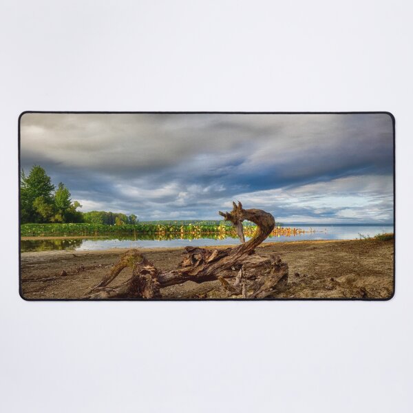 Item preview, Driftwood Dragon at Pymatuning Reservoir - Linesville, PA designed and sold by Kathy Weaver.