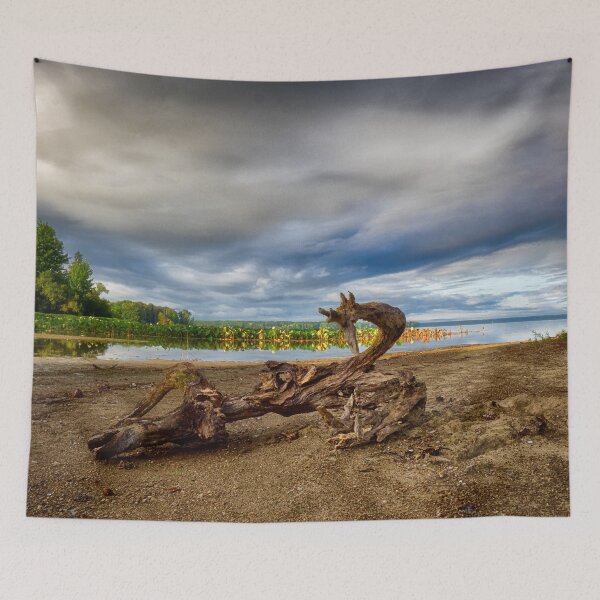 Item preview, Driftwood Dragon at Pymatuning Reservoir - Linesville, PA designed and sold by Kathy Weaver.
