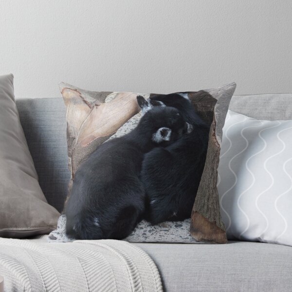 Item preview, SLEEPING BABY GOATS designed and sold by alexandriaiona.