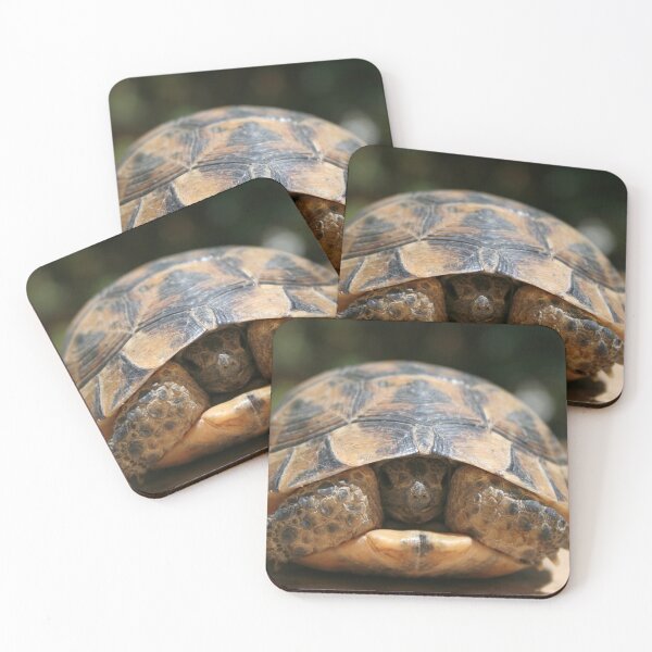 Item preview, Young Spur Thighed Tortoise Looking Out of Its Shell designed and sold by taiche.