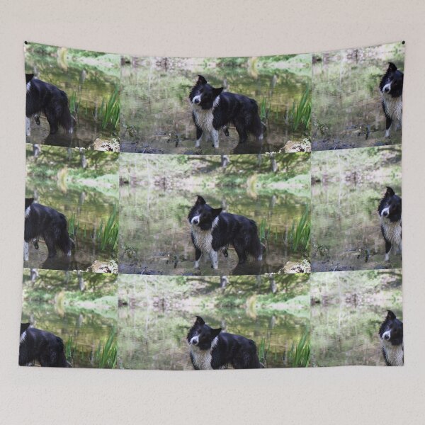 Item preview, Indy in the pond designed and sold by Michael Haslam.