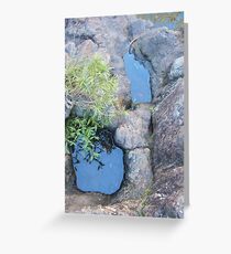 rockpools Greeting Card