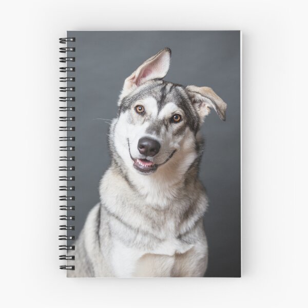 Item preview, Northern Inuit phone case designed and sold by Penel.