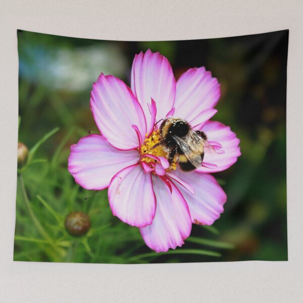 Artikelvorschau, Bi-Color Cosmos & Hummel entworfen und verkauft von AnnDixon.