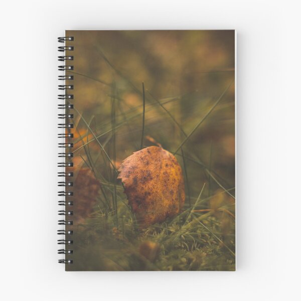 Item preview, Solitary yellow-orange leaf in autumn time designed and sold by VaclavSonnek.