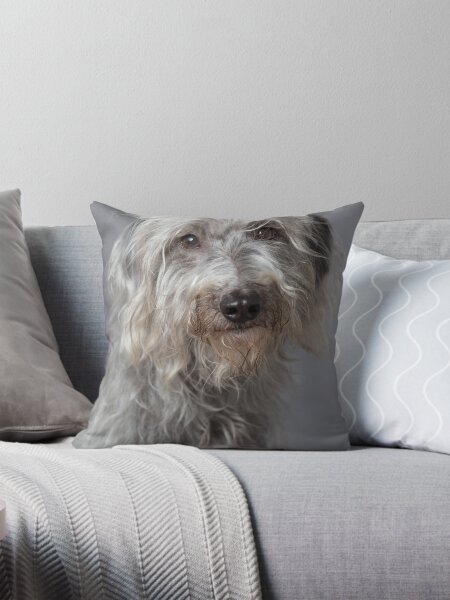 Item preview, Bedlington whippet designed and sold by Penel.