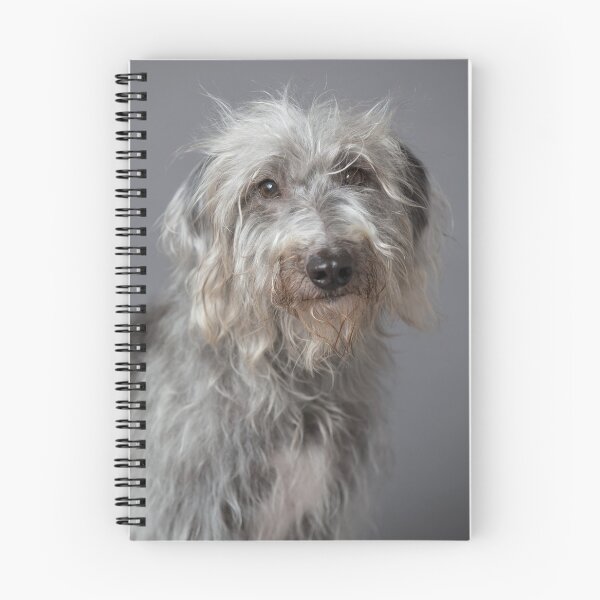 Item preview, Bedlington whippet designed and sold by Penel.