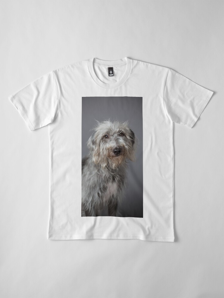 Beddy whippet for top sale