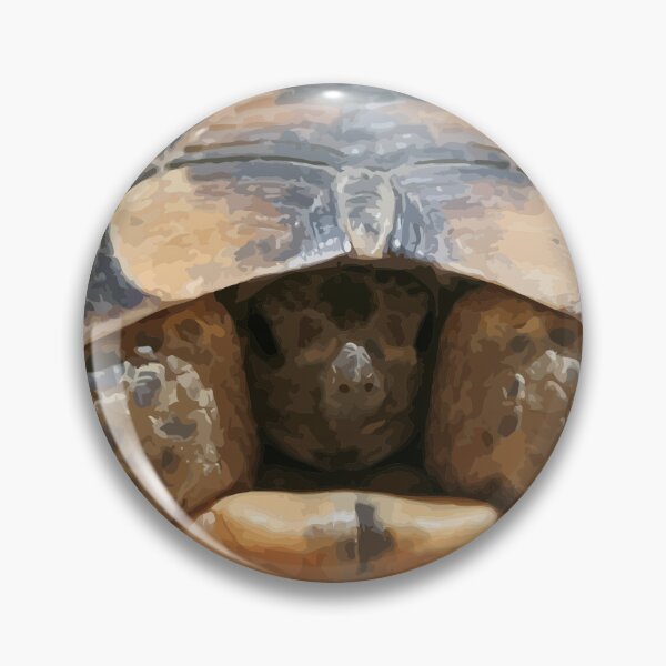 Item preview, Young Spur Thighed Tortoise Looking Out of Its Shell Cut Out designed and sold by taiche.