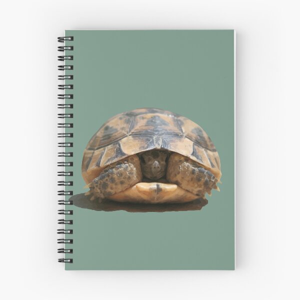 Item preview, Young Spur Thighed Tortoise Looking Out of Its Shell Cut Out designed and sold by taiche.