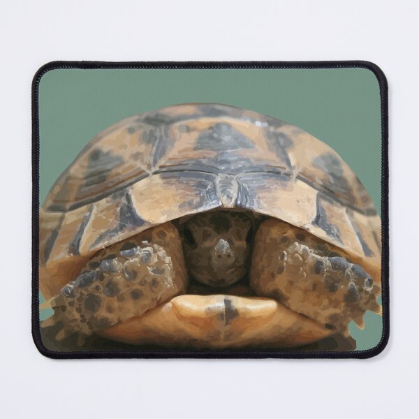 Item preview, Young Spur Thighed Tortoise Looking Out of Its Shell Cut Out designed and sold by taiche.