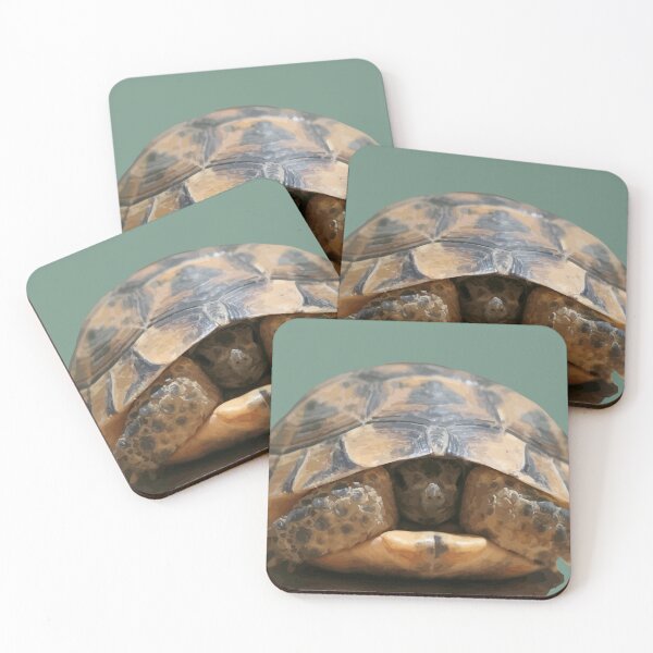 Item preview, Young Spur Thighed Tortoise Looking Out of Its Shell Cut Out designed and sold by taiche.