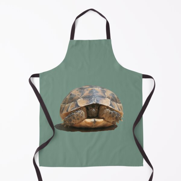 Item preview, Young Spur Thighed Tortoise Looking Out of Its Shell Cut Out designed and sold by taiche.
