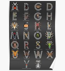 Spider and Tarantula Alphabet Poster