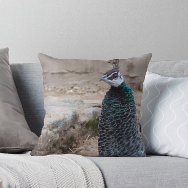 Item preview, I WANNA SEE YOUR PEACOCK designed and sold by alexandriaiona.