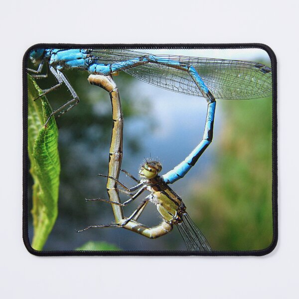 Item preview, Mating Damselflies designed and sold by Sharon Perrett.