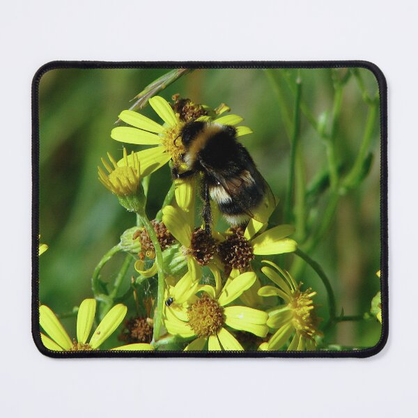 Item preview, Go on hug a flower today......you know you want to! designed and sold by Sharon Perrett.