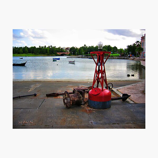 Item preview, Red Buoy designed and sold by photorolandi.